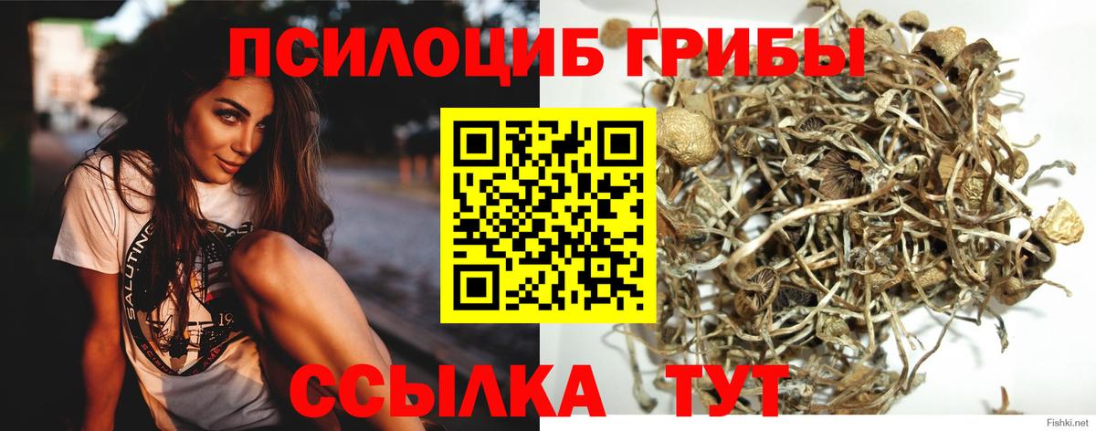 Псилоцибиновые грибы мухоморы  Вход с VPN  Галлюциногенные грибы ЛСД  Апрелевка 